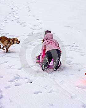 Young girl in pink coat sledding down gentle hill with dog