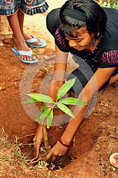 Young girl planting tree