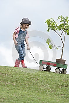 Young girl planting tree in park eco-aware