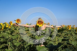 Young girl playing in a sunflowers field with arms wide open