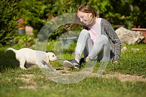 Young girl plays with a very young golden retriever puppy dog in garden. The little pet pulls her shoelace.