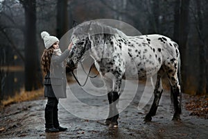 Young girl portrait with Appaloosa horse and Dalmatian dogs