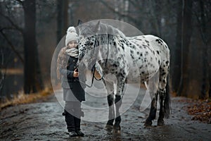 Young girl portrait with Appaloosa horse and Dalmatian dogs