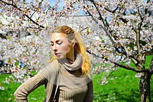 Young girl posing in the sakura garden