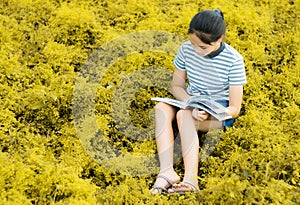 Young girl reading in gold meadow contryside nature in evening l