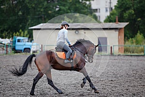 Young girl riding bay horse on equestrian sport training