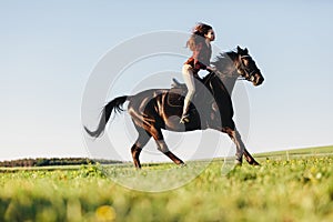 Young girl riding on a bay purebred horse.