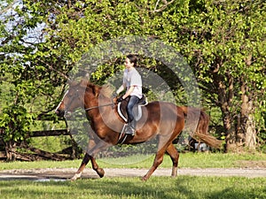 Young girl riding horse