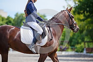 Young girl riding horse on equestrian competition