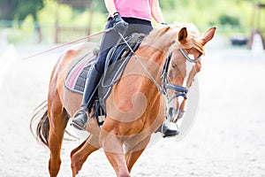 Young girl riding horse on equestrian training