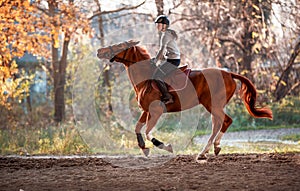 Young girl riding a horse