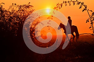 Young girl riding on horse during wonderful calm autumn morning full of mist and gold light