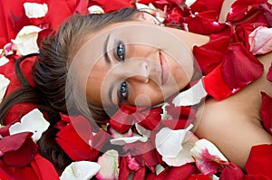 Young girl in rose peta