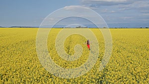 Young girl running through canola field - high angle view