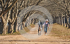 Young girl running with her dog great dane. Girl and dog running