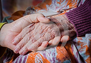 Young girl's hand touches and holds an old woman hand
