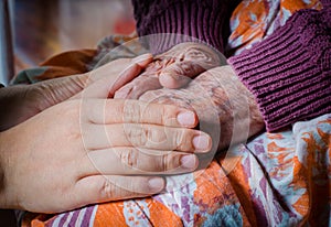 Young girl's hand touches and holds an old woman hand