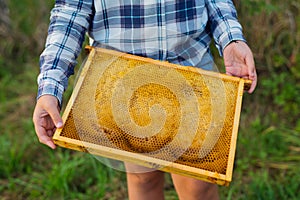 Young girl`s hands holding a frame with honeycomb