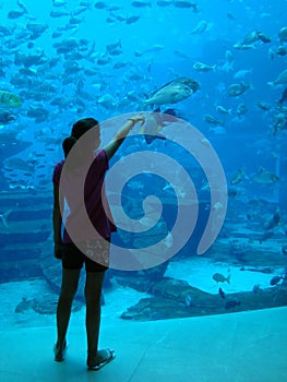 Young girl showcasing fish in an indoor aquarium.