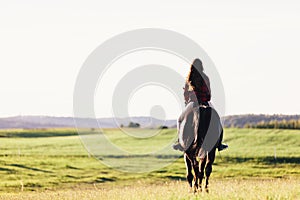 Young girl sitting on a bay horse, riding on the field.