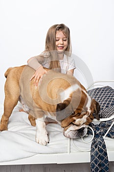 A young girl is sitting on the bed with her dog and is gently stroking him. Child and dog. The English Bulldog is a