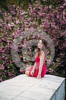 Young girl sitting in front of sakura tree. Spring outside. Pink Blossom tree