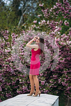 Young girl stand in front of sakura tree. Spring outside. Blossom tree