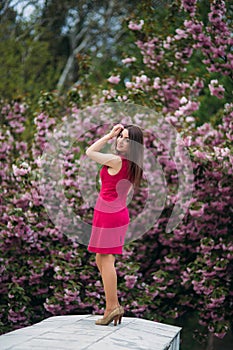 Young girl stand in front of sakura tree. Spring outside. Pink Blossom tree