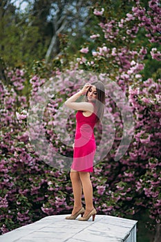 Young girl stand in front of sakura tree. Spring outside. Pink Blossom tree