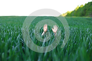 A young girl standing in a field of tall, lush green grass