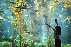 Young Girl Standing Up Against Large Aquarium Observation Glass photo