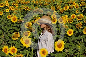 Young girl in a straw hat is standing in a large field of sunflowers. Summer time.