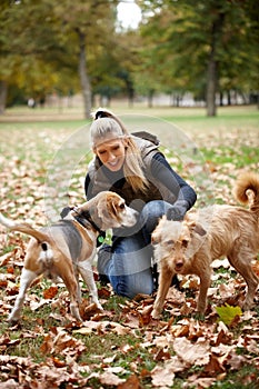 Young girl stroking dogs in autumn park