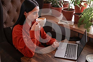 Young girl student relax drinking coffee and using laptop looking at computer screen online learning on pc, elearning