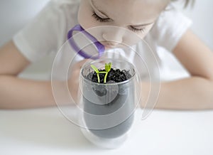 Young girl studies small plant in elementary science class. Child holding magnifying glass. Caring for a new life.
