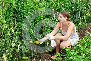 young girl in summer dress spraying tomatoes