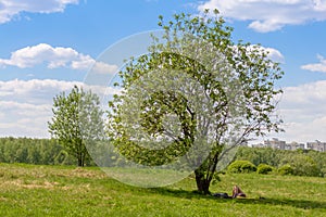 Young girl sunbathing in a city park under apple tree