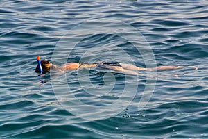 Young girl swiming in the sea