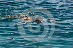 Young girl swiming in the sea