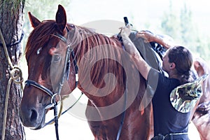 A young girl to saddle a brown horse in the forest. Children`s equestrian camp. Summer sports camp for children. A cute girl is