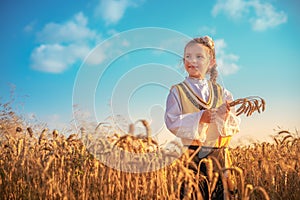 Young girl with traditional Bulgarian folklore costume at the agricultural wheat field during harvest time with industrial combine