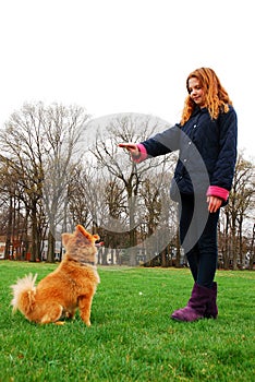 A young girl trains a dog to stay