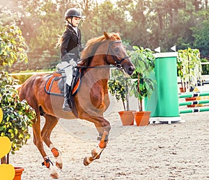 Young girl in uniform jumping with sorrel horse.