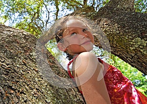 Young Girl Up in Tree