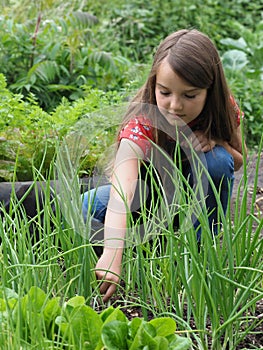 Young Girl In Vegetable Garden