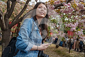Young girl visitor standing under branch of a cherry in the park in spring. beautiful woman traveler reading online guidebook on