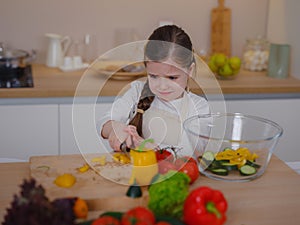 Young Girl Vlogger Making Social Media Video About Cooking For Internet At Home