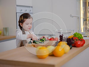 Young Girl Vlogger Making Social Media Video About Cooking For Internet At Home