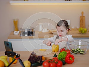 Young Girl Vlogger Making Social Media Video About Cooking For Internet At Home