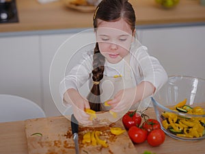 Young Girl Vlogger Making Social Media Video About Cooking For Internet At Home